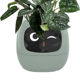 Smart flowerpot Adorable plant companion