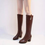 Autumn And Winter Thick Heel High Heel Pointed High Boots