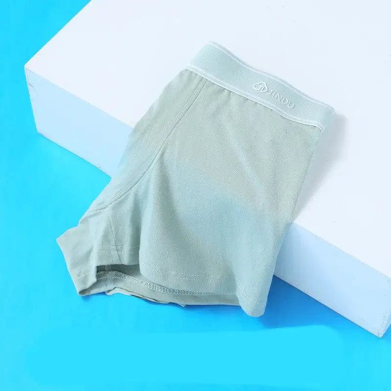 LOVEMI  Boxer M LightGreen / L Lovemi -  Men's Underwear Boxer Shorts Pure Cotton Breathable Plus