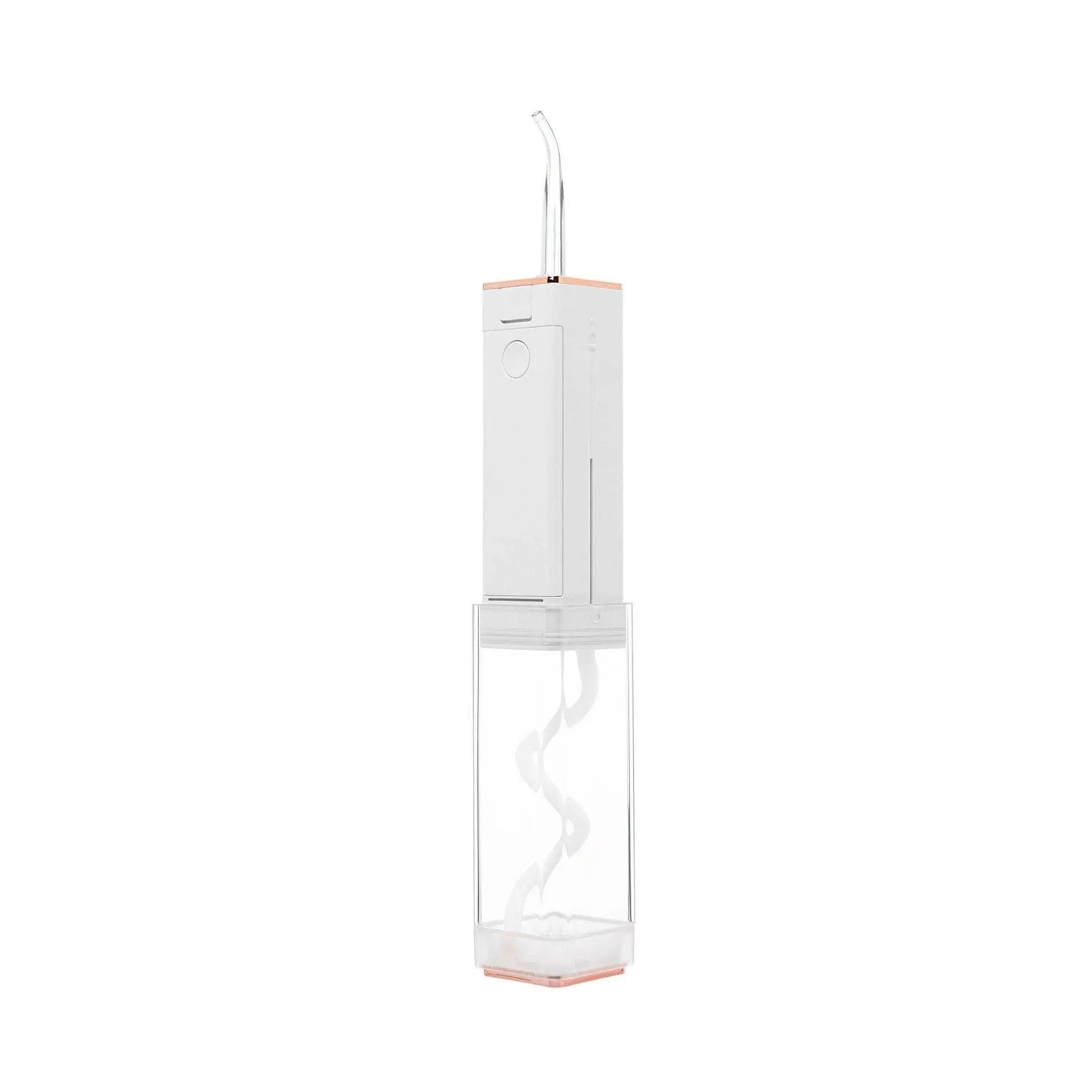 LOVEMI Health & Beauty White / USB Lovemi -  Water Jet Floss Dental Irrigator Dental Pick Oral Irrigation