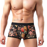 Lace boxer shorts-Black-3