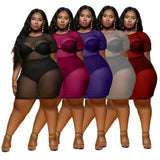 Plus-Size Sheer Dresses: Flaunt Curves in Style-2