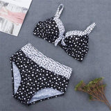 Retro Polka Dot Bikini Sexy Split Slim Swimsuit-Blackandwhite-2