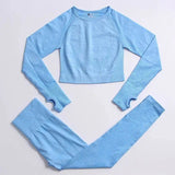 LOVEMI Sport clothing Blue / 2pcs / S Lovemi -  Fitness Sports Yoga Clothing Suit Women Seamless