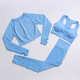 LOVEMI Sport clothing Blue / 3pcs / S Lovemi -  Fitness Sports Yoga Clothing Suit Women Seamless