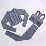 LOVEMI Sport clothing Grey / 3pcs / S Lovemi -  Fitness Sports Yoga Clothing Suit Women Seamless