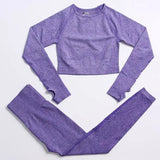 LOVEMI Sport clothing Purple / 2pcs / S Lovemi -  Fitness Sports Yoga Clothing Suit Women Seamless