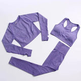 LOVEMI Sport clothing Purple / 3pcs / S Lovemi -  Fitness Sports Yoga Clothing Suit Women Seamless