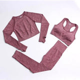 LOVEMI Sport clothing Wine Red / 3pcs / S Lovemi -  Fitness Sports Yoga Clothing Suit Women Seamless