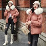 LOVEMI  WDown jacket BeanPaste / S Lovemi -  Large Fur Collar Thick Padded Jacket Down Women Short Slim