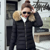 LOVEMI WDown jacket Black / 3XL Lovemi -  Slim cotton padded jacket and down jacket