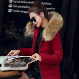 LOVEMI WDown jacket Wine Red / 2XL Lovemi -  Slim cotton padded jacket and down jacket