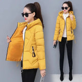 LOVEMI WDown jacket Yellow / M Lovemi -  Winter New Style Cotton Jacket Women Short